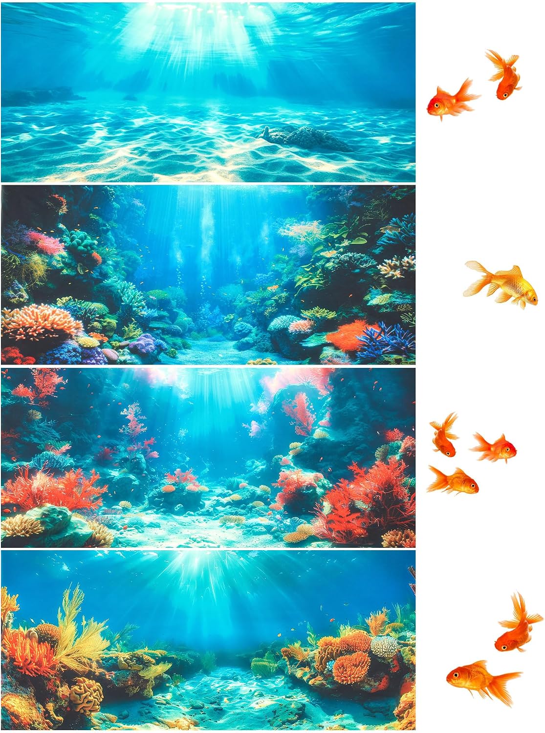 Mindsoft Aquarium Background 4 Pack front view of coral reef scene