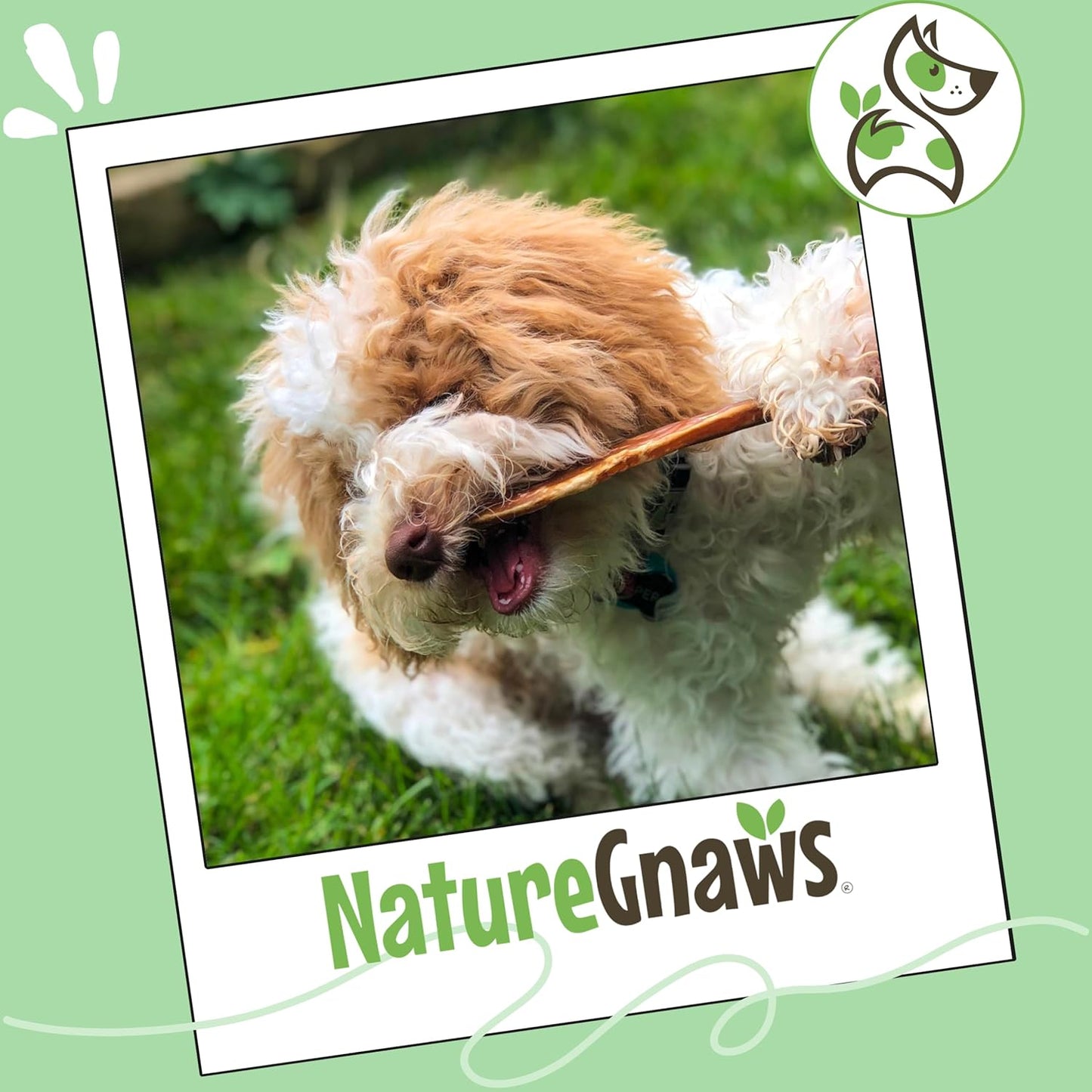 Authentic Nature Gnaws dog treats imported for Indian pet parents