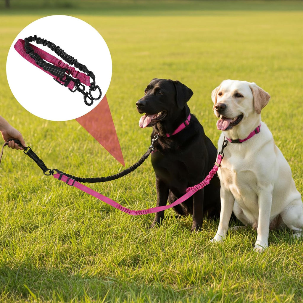 Adjustable strap mechanism on the Molain double pet lead for walking two different size dogs.