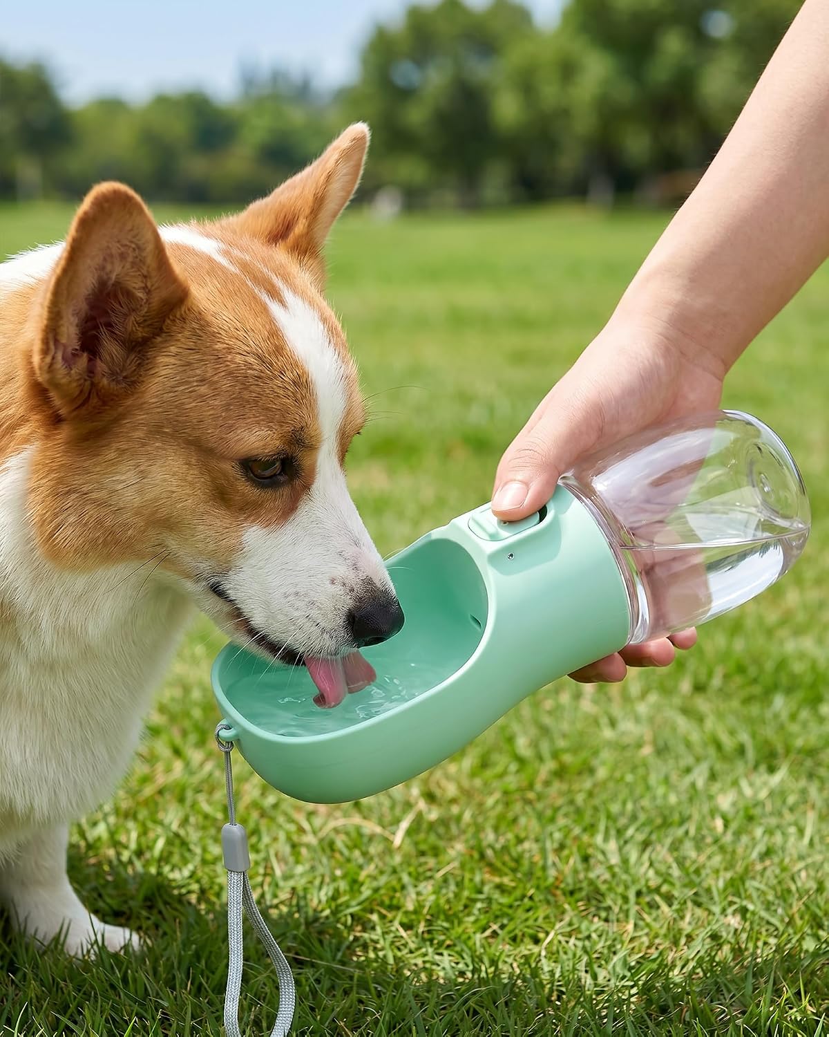 Water reflow demonstration using COTOP travel dog bowl