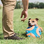 Close up of whistle chambers on Chuckit! flying disc