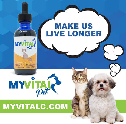SES Research cat health supplement with dropper