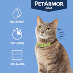 PetArmor Plus 6 month supply blister pack for kittens and cats