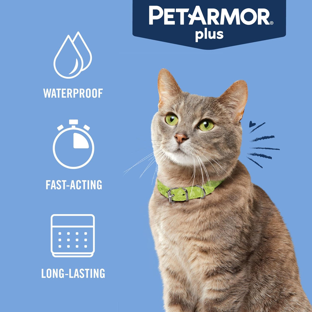 PetArmor Plus 6 month supply blister pack for kittens and cats