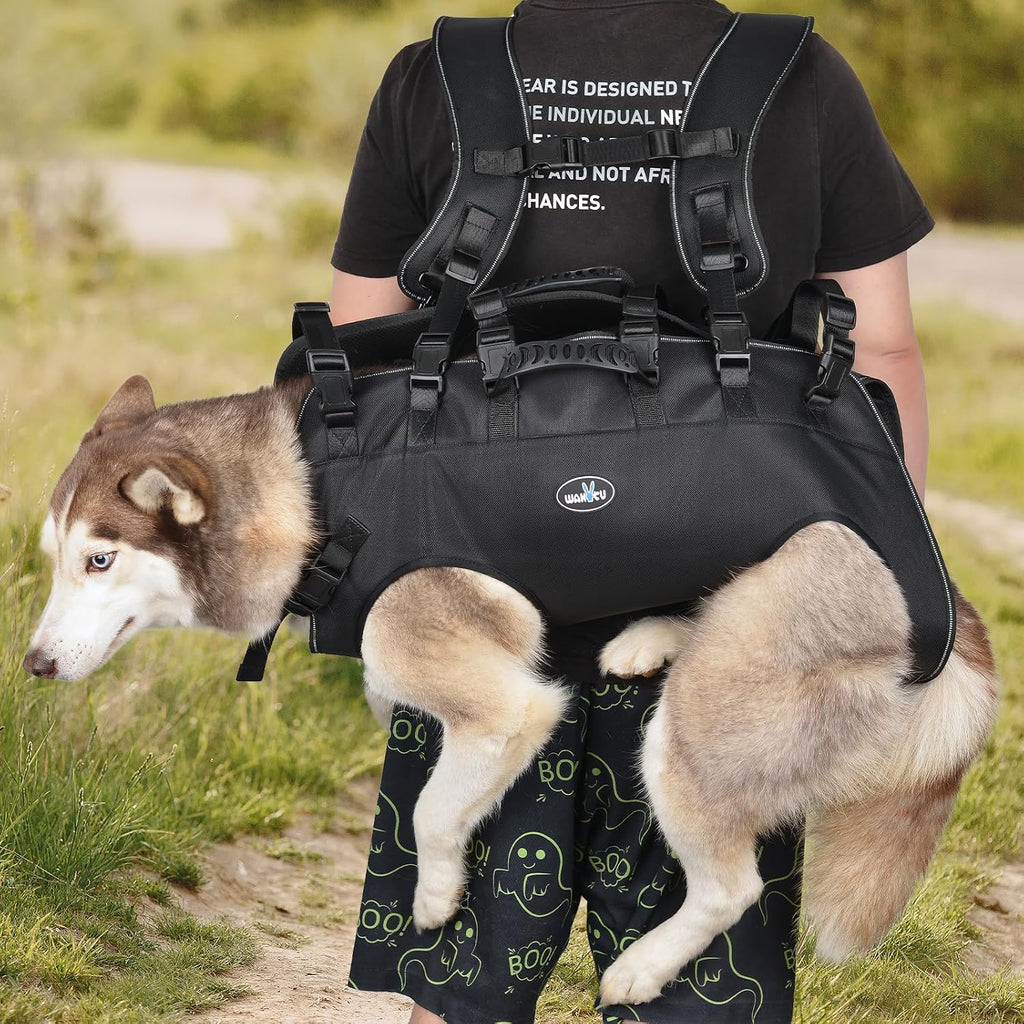 Small size full body support harness used for a dog weighing thirty three to sixty six pounds.