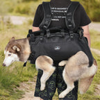 Small size full body support harness used for a dog weighing thirty three to sixty six pounds.