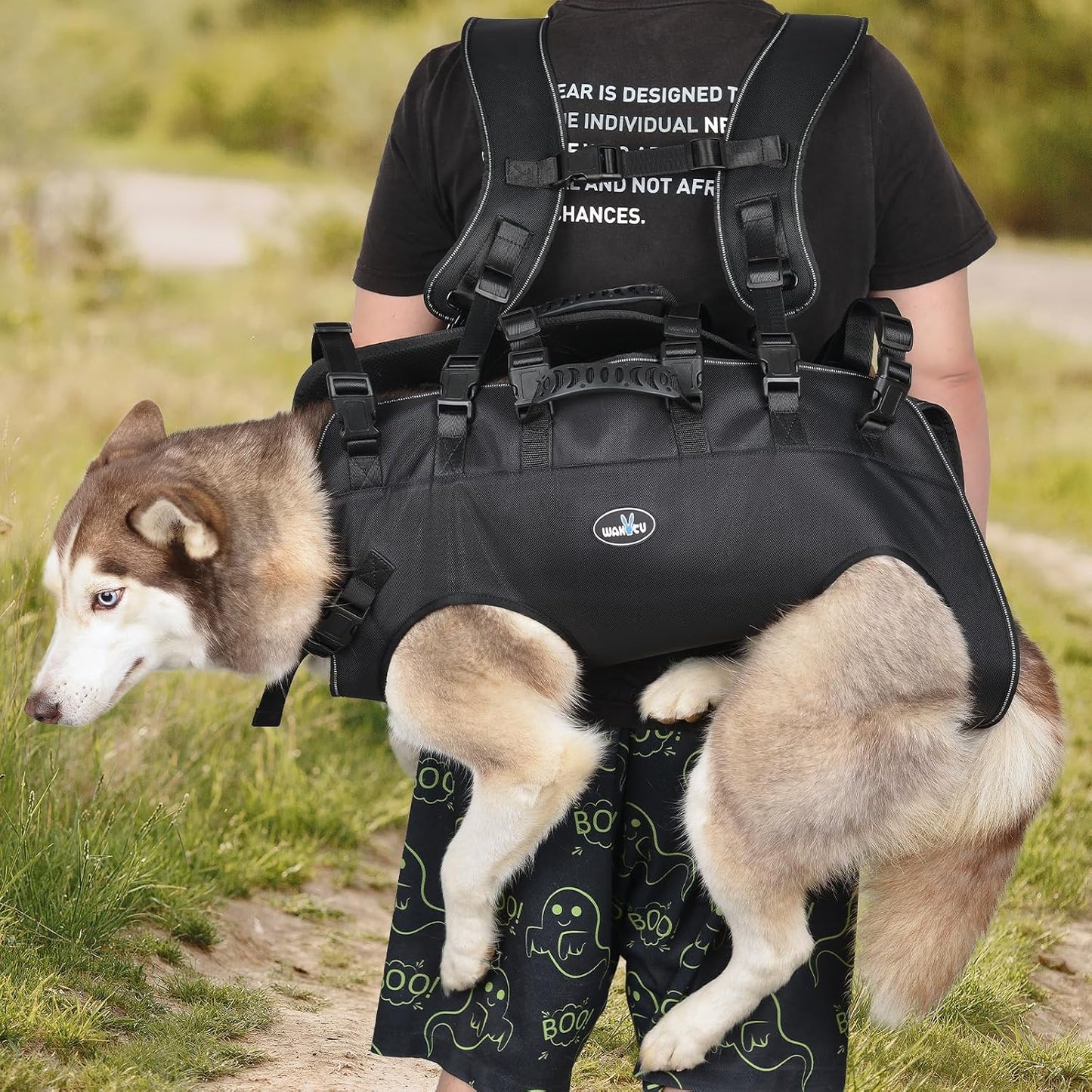 Small size full body support harness used for a dog weighing thirty three to sixty six pounds.