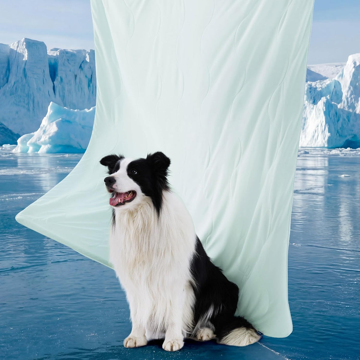 Bedsure Cooling Blanket for Small Dogs with Breathable Air-Core Fill Q-MAX>0.4 - Dog Cooling Mat Soft, Lightweight Pet Cat Throw Cold Blanket Washable for Summer, Arctic Blue, 25x35 - Image 12