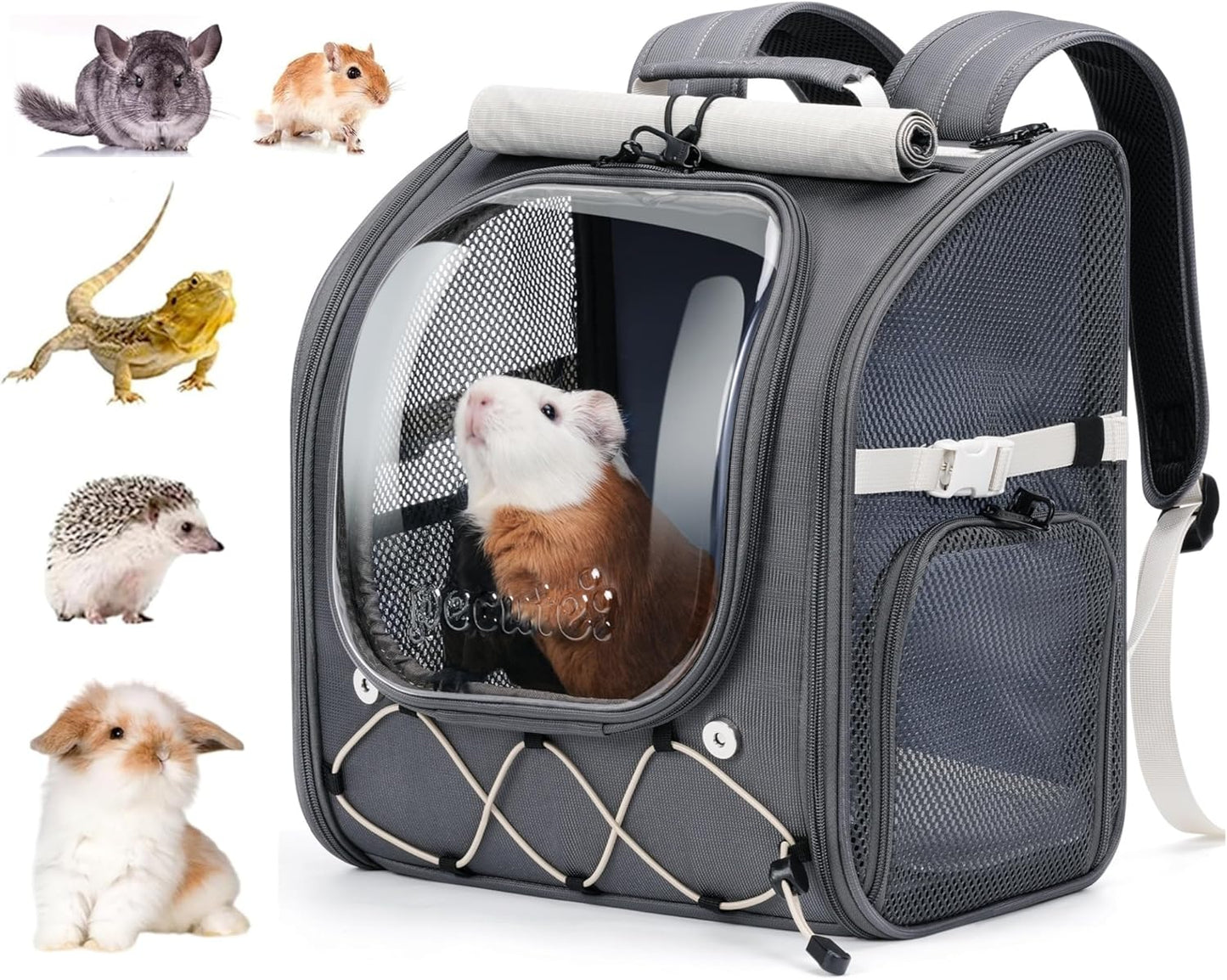 Pecute Small Pet Carrier, Breathable Bearded Dragon Carrier, with Transparent Bubble & Steel Frame, Safety Lock for Hamster, Rabbit, Guinea Pig, Parrot, Kitten, Puppy, Ideal for Travel/Vet Visits/Camp - Image 1
