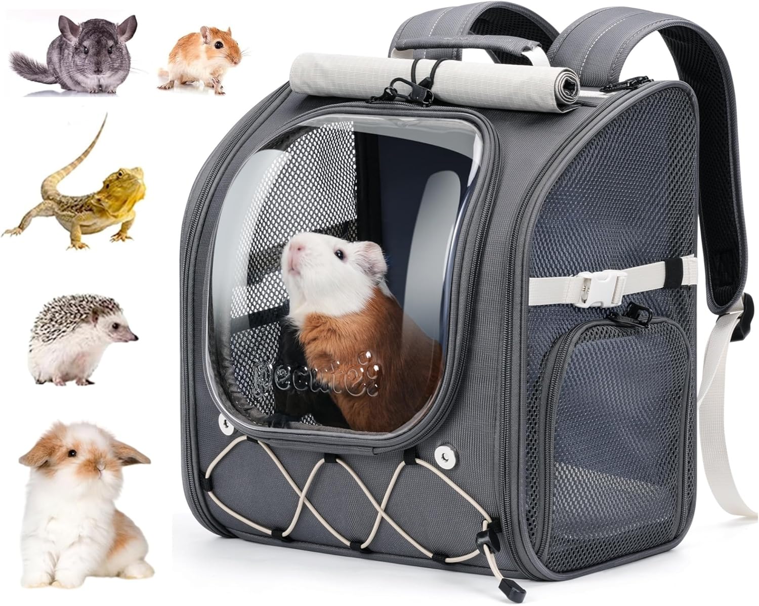 Pecute Small Pet Carrier, Breathable Bearded Dragon Carrier, with Transparent Bubble & Steel Frame, Safety Lock for Hamster, Rabbit, Guinea Pig, Parrot, Kitten, Puppy, Ideal for Travel/Vet Visits/Camp - Image 1