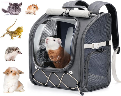Pecute Small Pet Carrier, Breathable Bearded Dragon Carrier, with Transparent Bubble & Steel Frame, Safety Lock for Hamster, Rabbit, Guinea Pig, Parrot, Kitten, Puppy, Ideal for Travel/Vet Visits/Camp - Image 1
