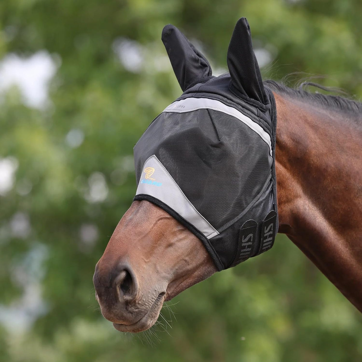Shires FlyGuard Pro horse mask showing ear protection detail