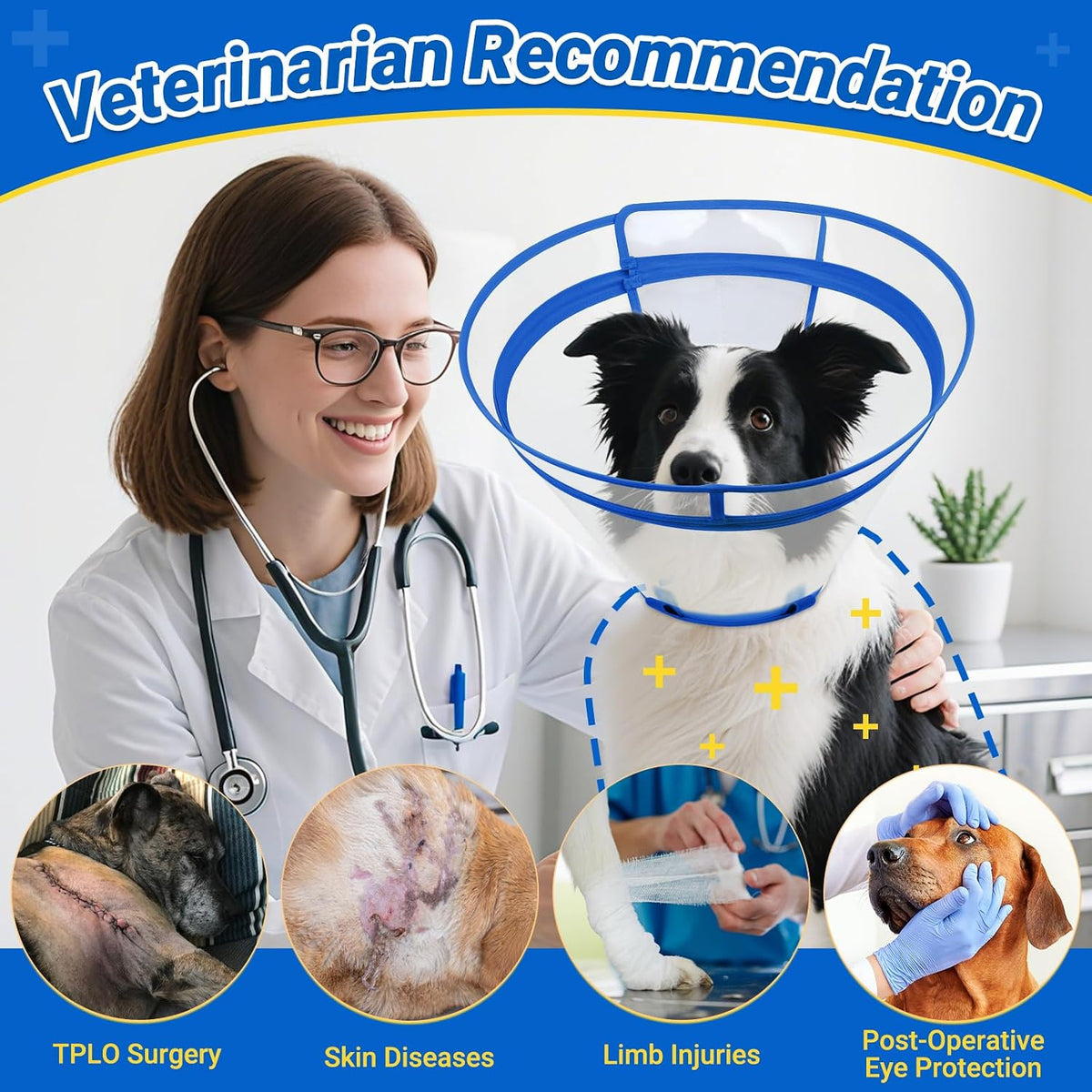 Sturdy crack resistant dog Elizabethan collar for post surgery care