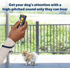 PetSafe Collarless Trainer held in hand with wrist strap visible