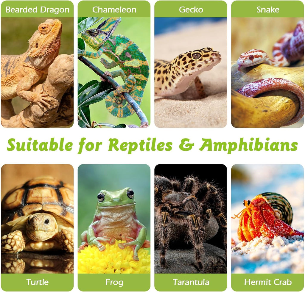 Apatal organic terrarium wood pieces suitable for hermit crabs and tortoises