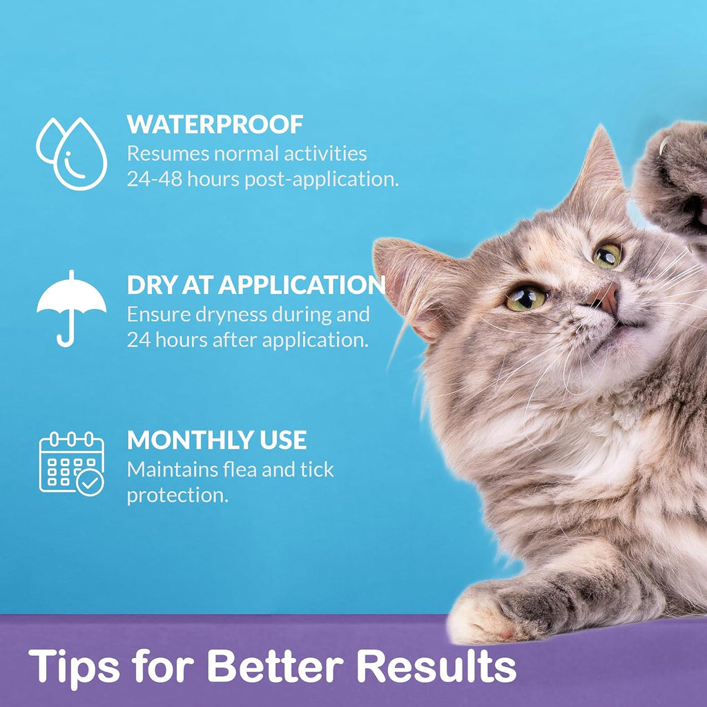 Long lasting waterproof cat flea prevention graphic illustrating protection during grooming sessions