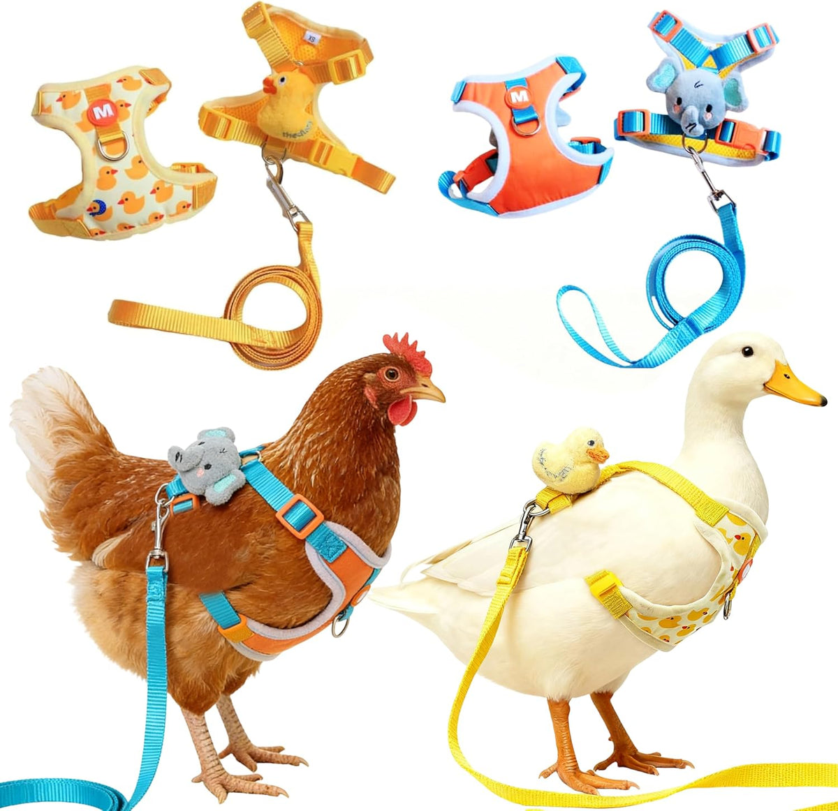 ZHENYOUBML chicken harness and leash set front view with adjustable buckle closure