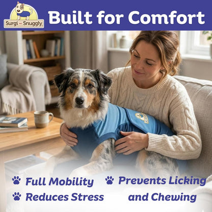 Surgi Snuggly double blue veterinary garment protecting abdominal surgical stitches