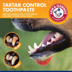 Rubber finger brush for dog dental cleaning