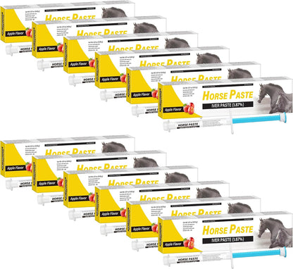 Qouinuey 12 Pack Equine Paste front view packaging