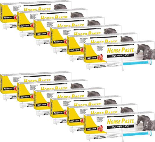 Qouinuey 12 Pack Equine Paste front view packaging