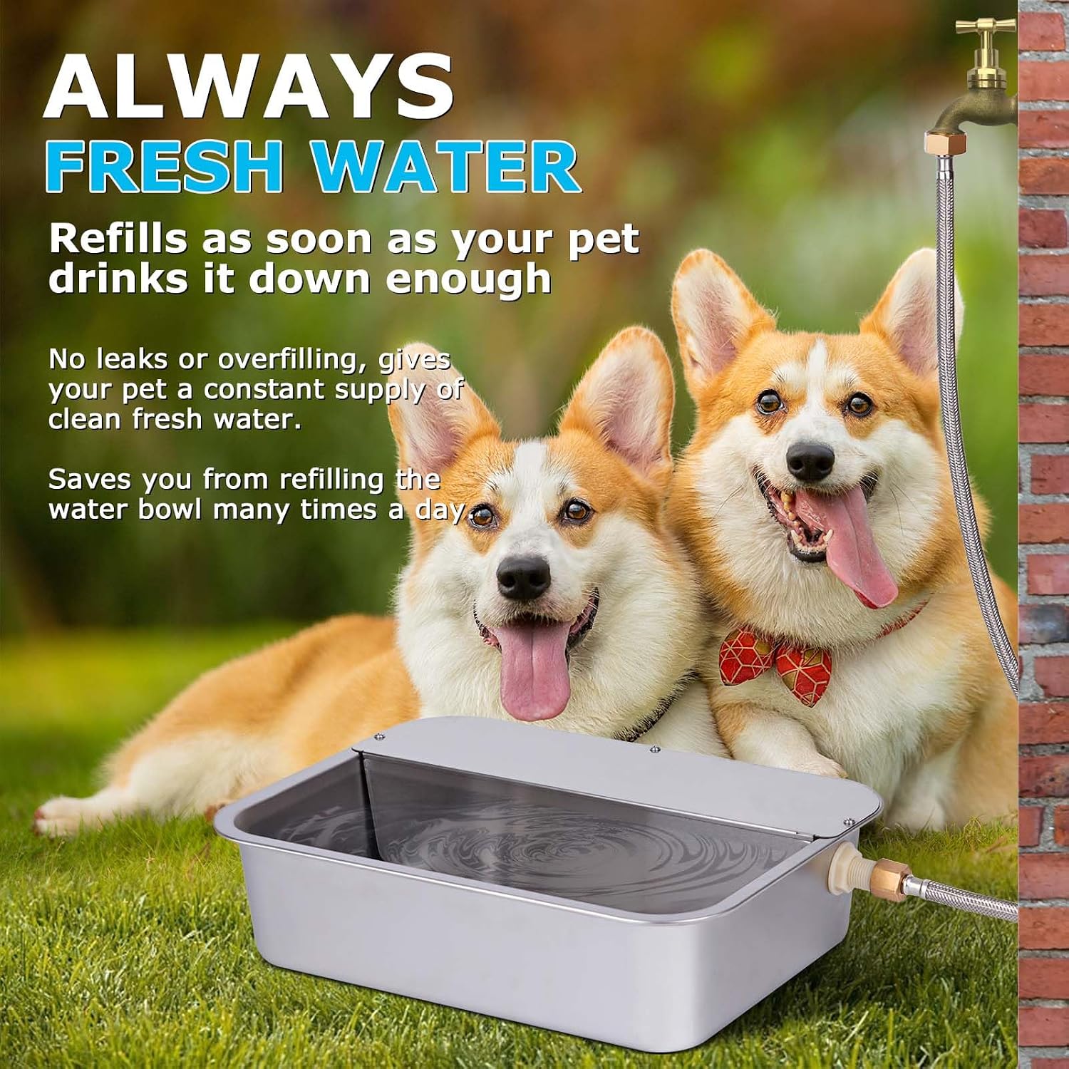 Heavy duty stainless steel automatic livestock water trough connected to garden hose