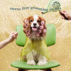 Petora facial comb cleaning around a cat muzzle