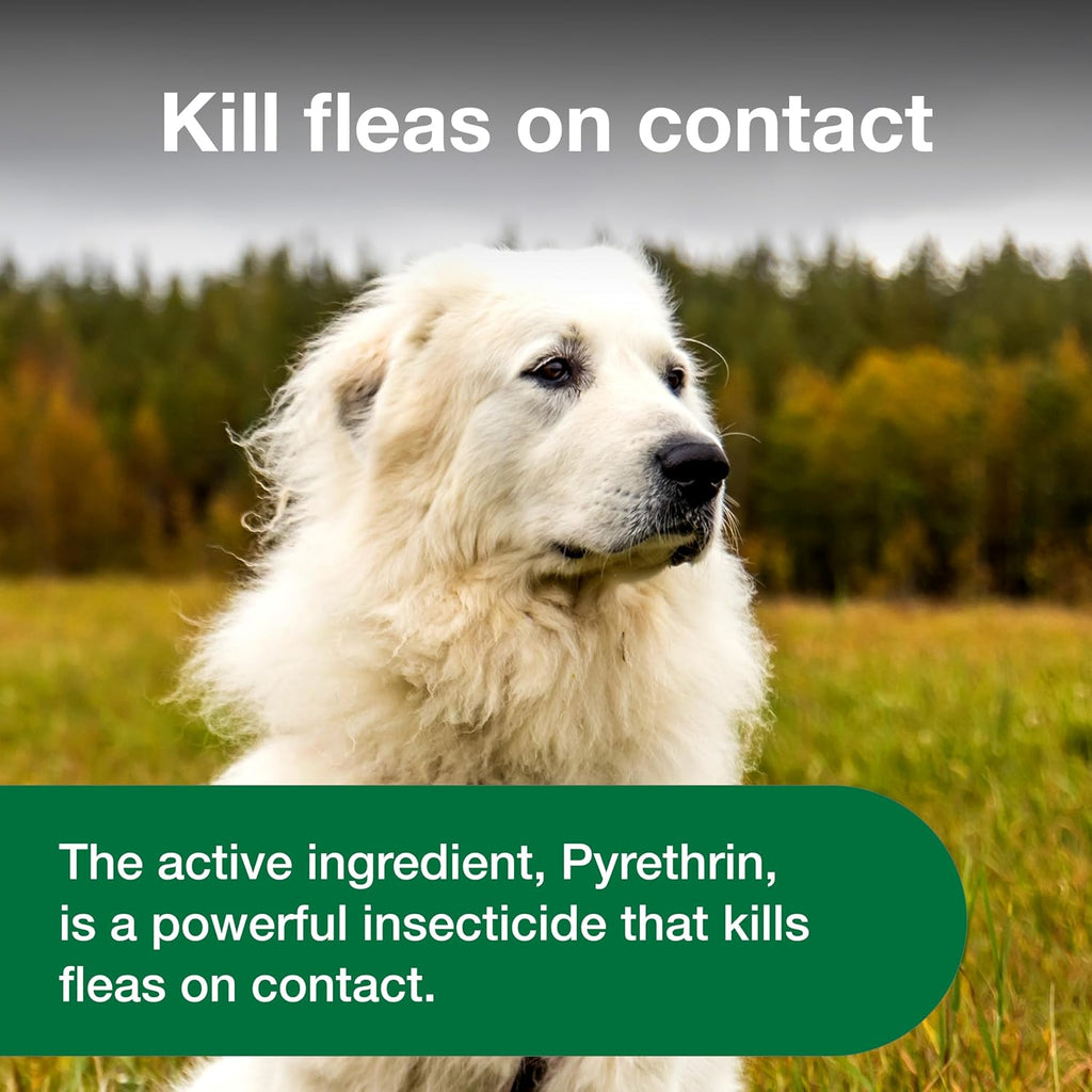 Advantage dog flea and tick spray continuous spray bottle design