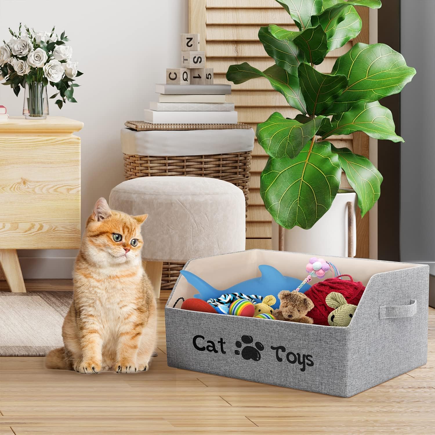 Durable pet toy container with four-millimeter thick cardboard reinforcement walls