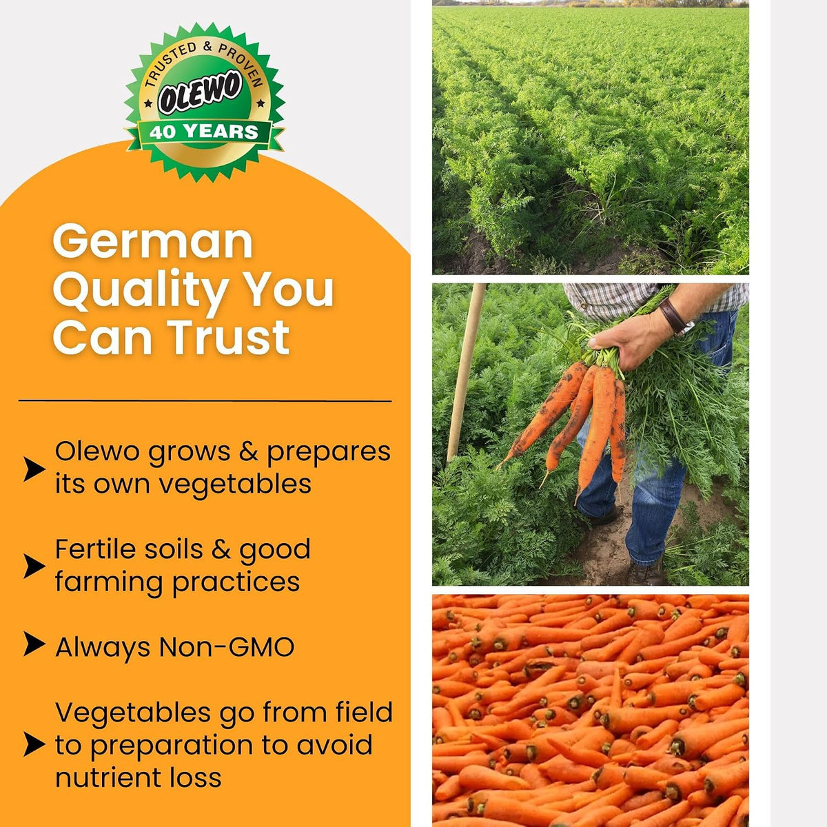 Olewo Original Carrots for Dogs - Fiber for Perfect Poop, Dehydrated Dog Food Toppers for Picky Eaters, Natural Skin & Coat Support, Multivitamin, Probiotics for Digestive & Gut Health, 1 lb - Image 9