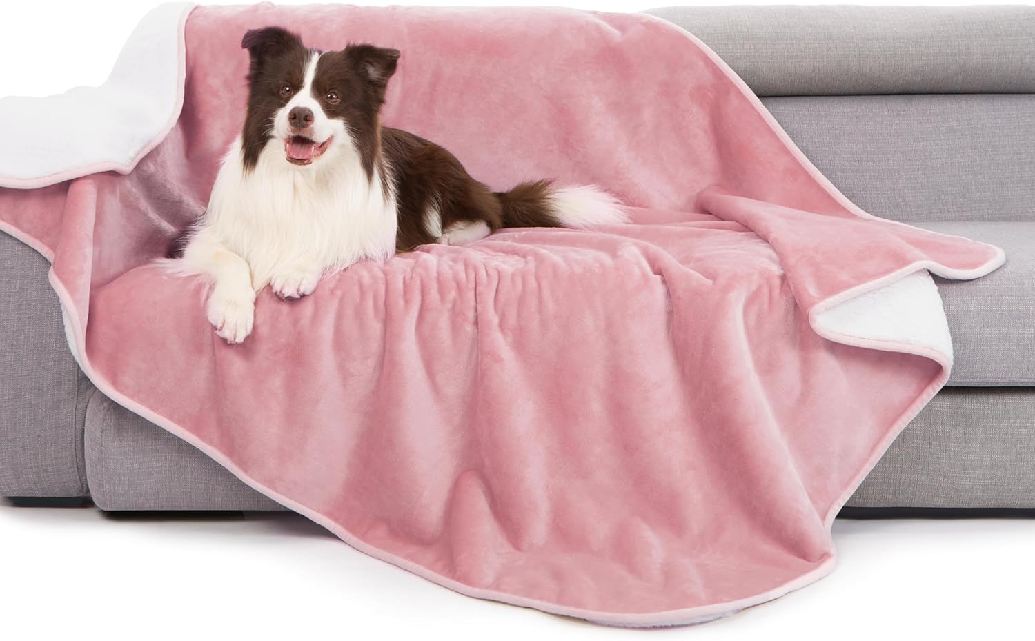 gogobunny Waterproof Bed Blanket, Reversible Sherpa Fleece Throw Blanket for Dog Puppy Cat, Furniture Cover Protects Bed Couch Sofa from Liquid Pee and Pet Fur (Black, 50x60 inches) - Image 15