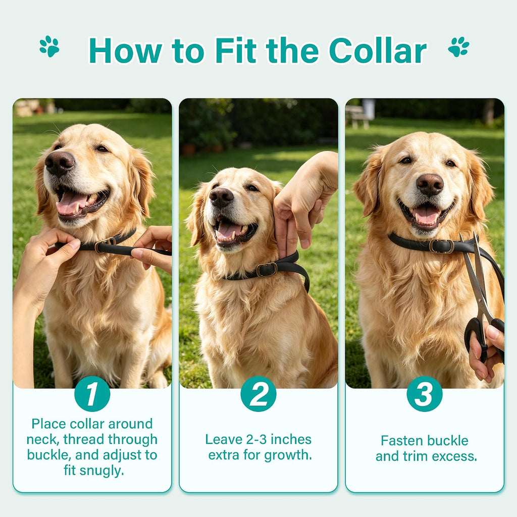 Flea and Tick Collar for Dogs 6 Pack, Natural Flea & Tick Prevention with Essential Oils, Waterproof Adjustable Dog Collar for Small Medium Large Dogs, Black & Gold - Image 9