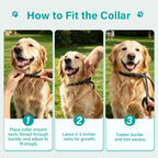 Flea and Tick Collar for Dogs 6 Pack, Natural Flea & Tick Prevention with Essential Oils, Waterproof Adjustable Dog Collar for Small Medium Large Dogs, Black & Gold - Image 9