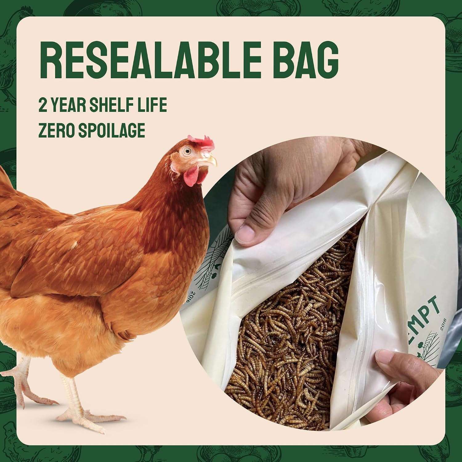 Natural dried insect feed for ducks and birds