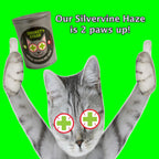 Refillable cat toy being filled with organic catnip blend powder