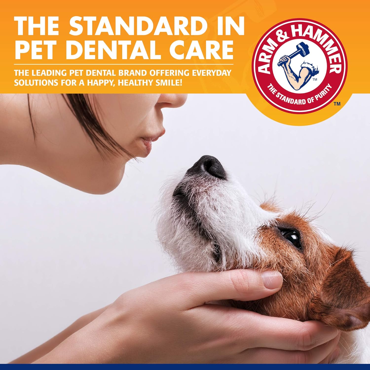 Detailed view of the 3-piece dog dental cleaning set