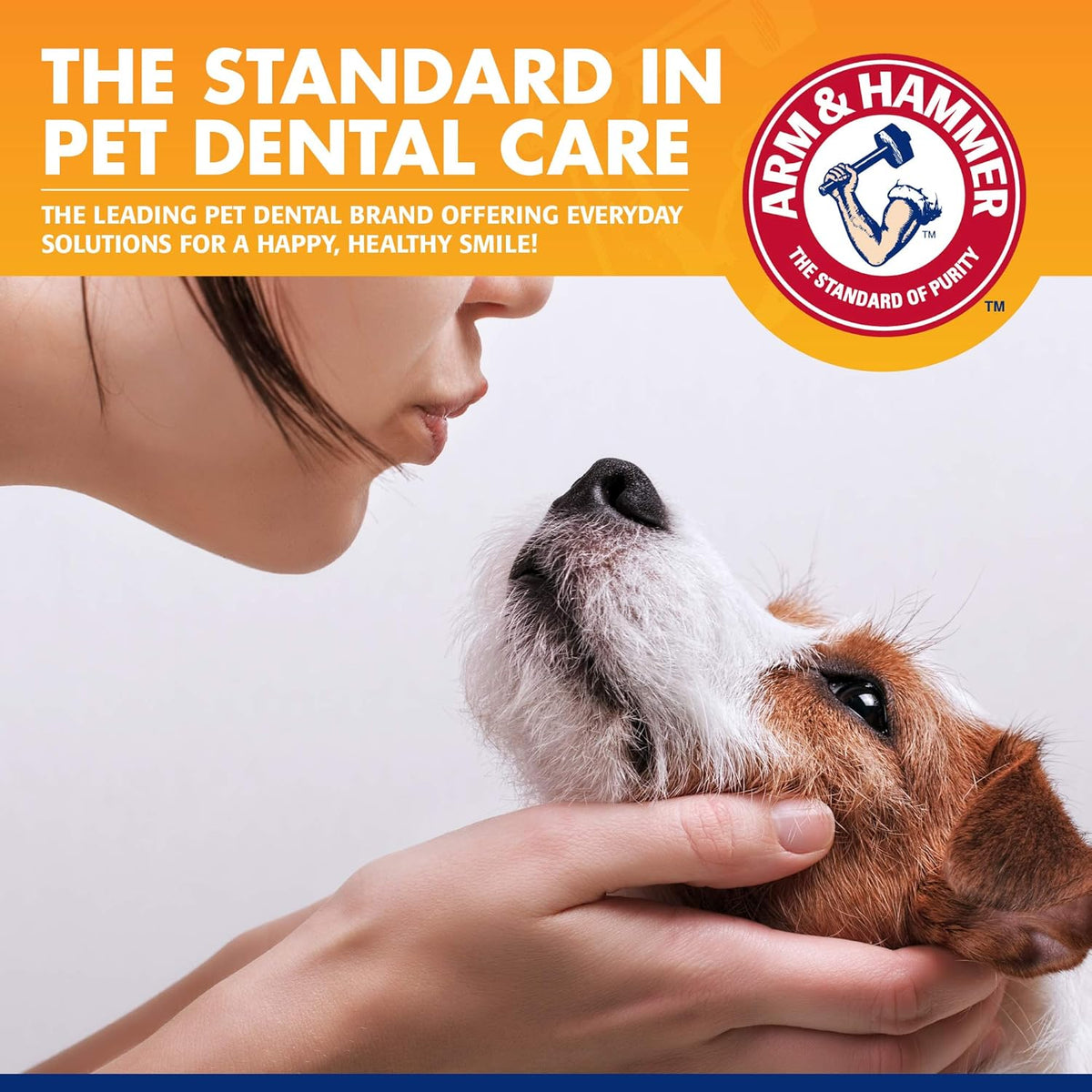 Detailed view of the 3-piece dog dental cleaning set