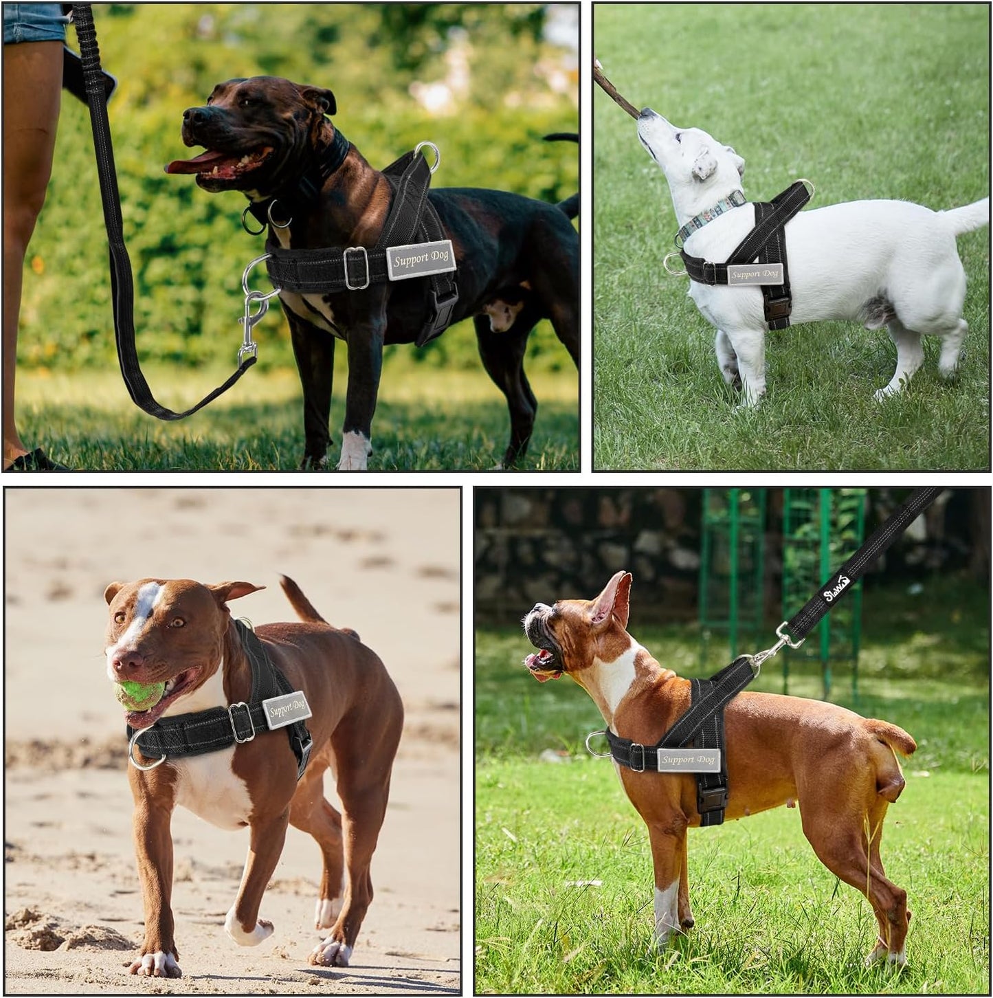 SlowTon dog training harness set showing the interchangeable hook and loop service support patches.