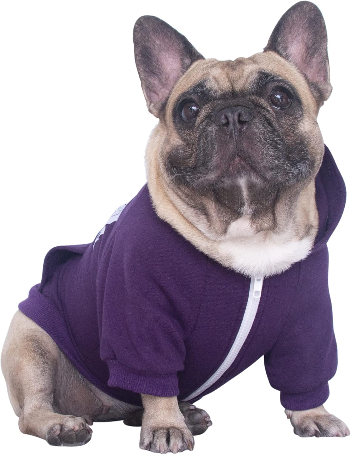iChoue French Bulldog Frenchie Clothes Hoodies for Dogs Pug English Boston Terrier Bully Pitbull Corgi Sweatshirt Sweater Clothing - Grey/XLarge - Image 9