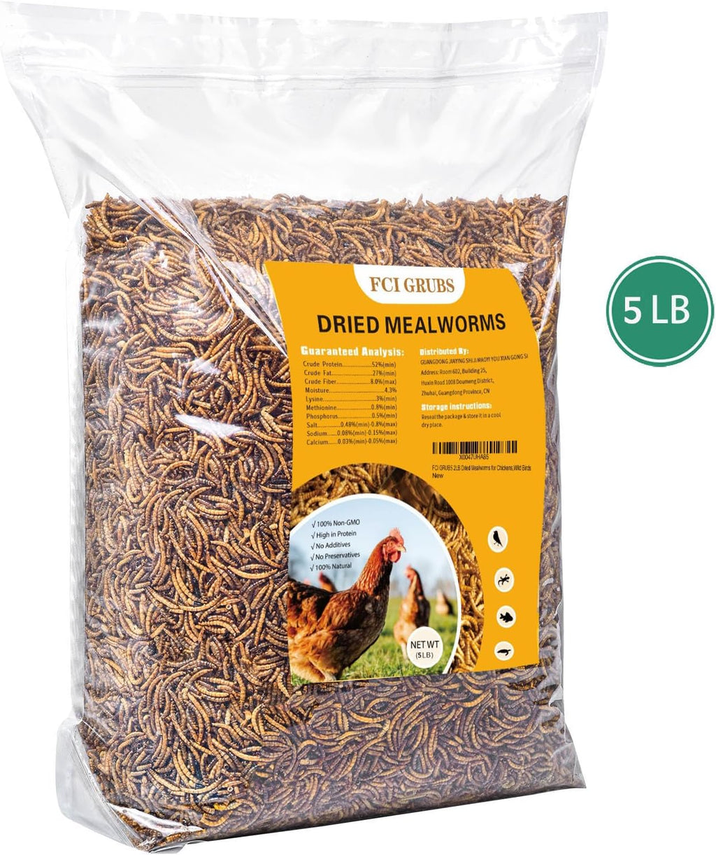 Close up view of high protein dried mealworms texture and quality