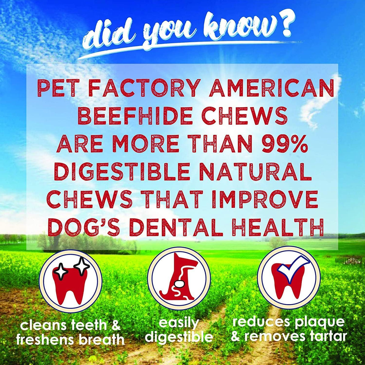 Pet Factory American beefhide natural dog treats ingredients info