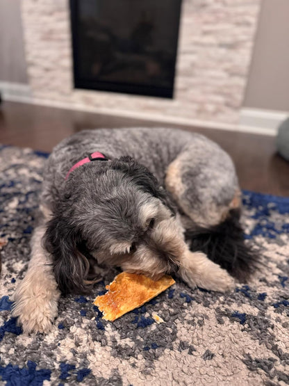 Fieldcrest Farms safe digestible chicken flavored flip chips for pets