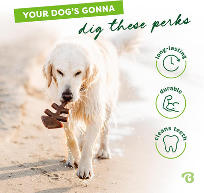Benebone Fishbone Durable Dog Chew Toy for Aggressive Chewers, Real Fish, Made in USA, Medium - Image 3