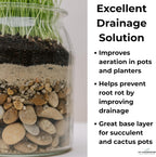 Fine gardening sand poured around an indoor cactus plant to prevent root rot.