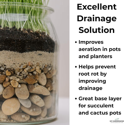 Fine gardening sand poured around an indoor cactus plant to prevent root rot.