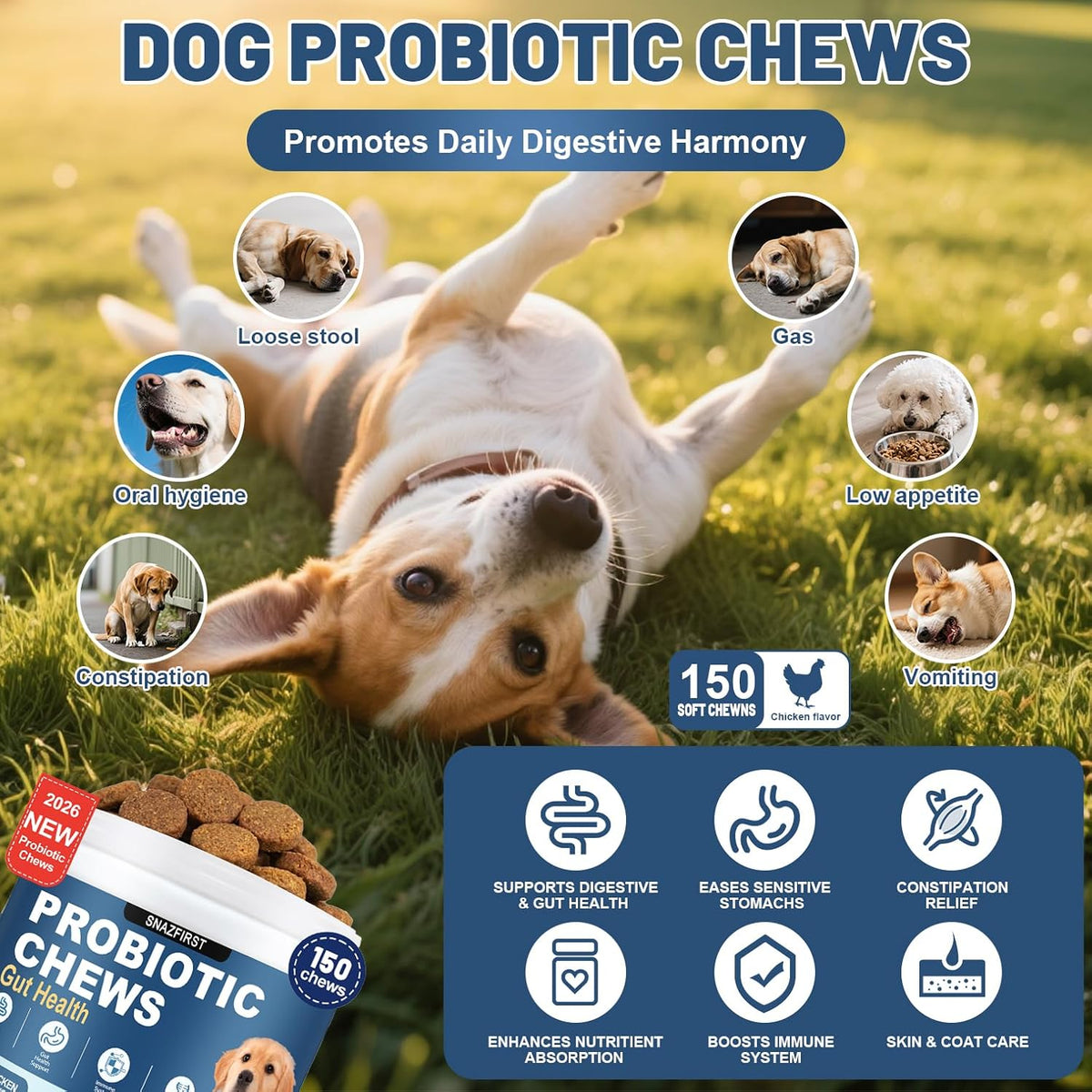 Drool Duke dog digestive enzymes chicken flavor 150 soft chews jar.