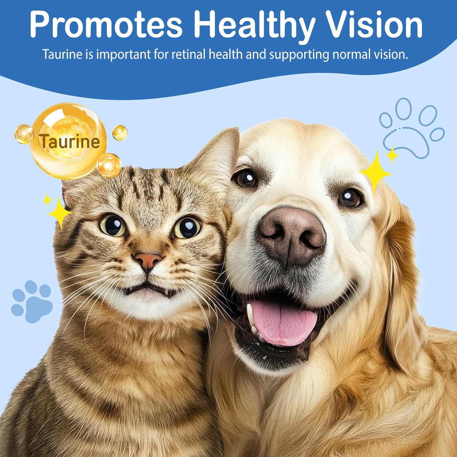 Imported USA premium taurine powder for raw pet diets