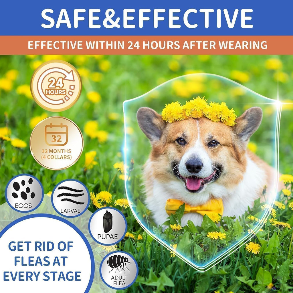 Vicsom flea and tick prevention blue and orange collar set