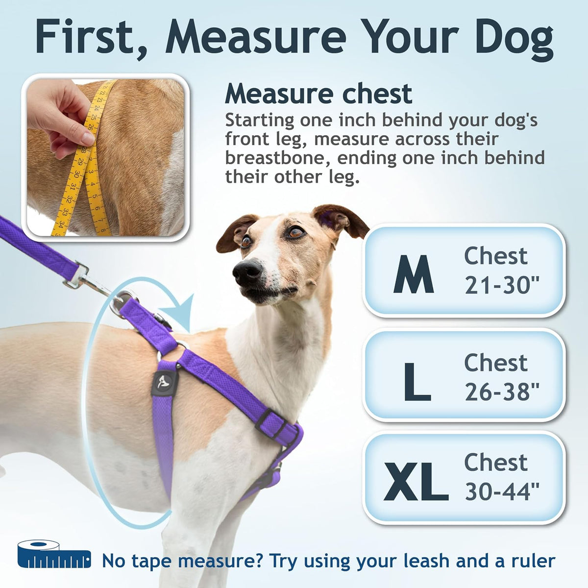 Kruz Pet harness heavy-duty metal D-ring detail