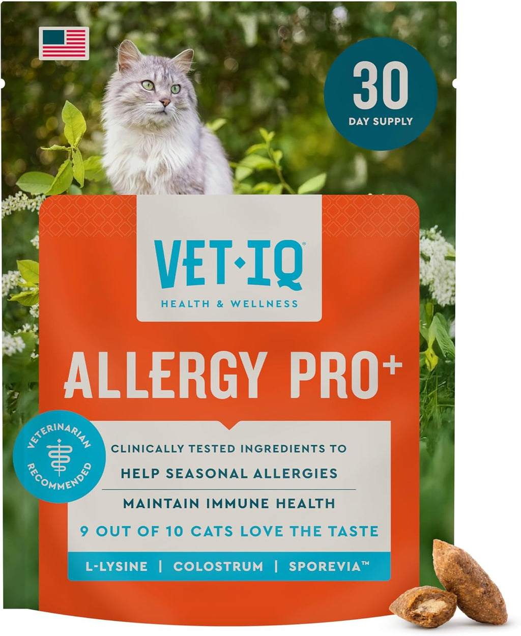 Healthy dog enjoying VetIQ allergy supplement chews